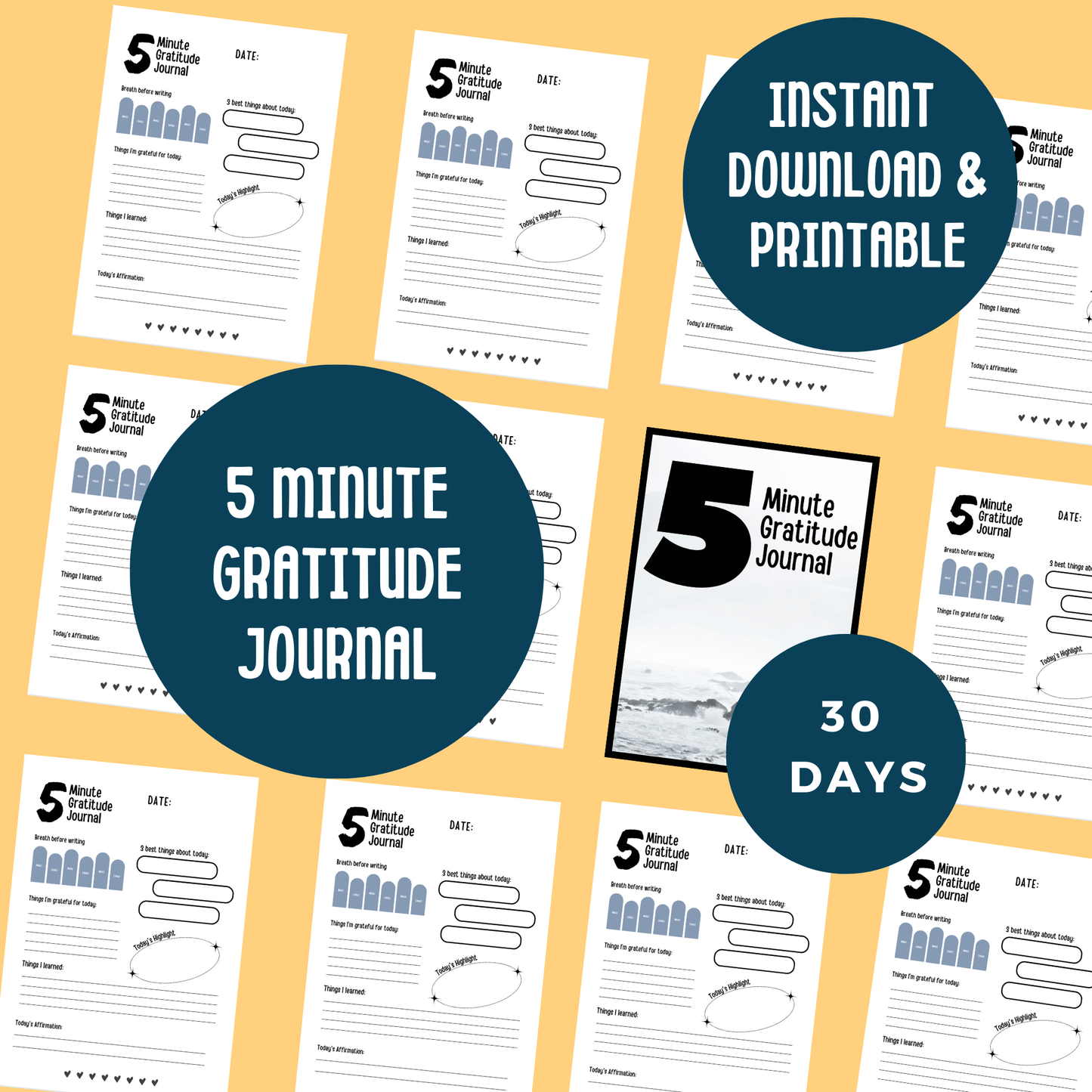 5 Minute Gratitude Journal PLR