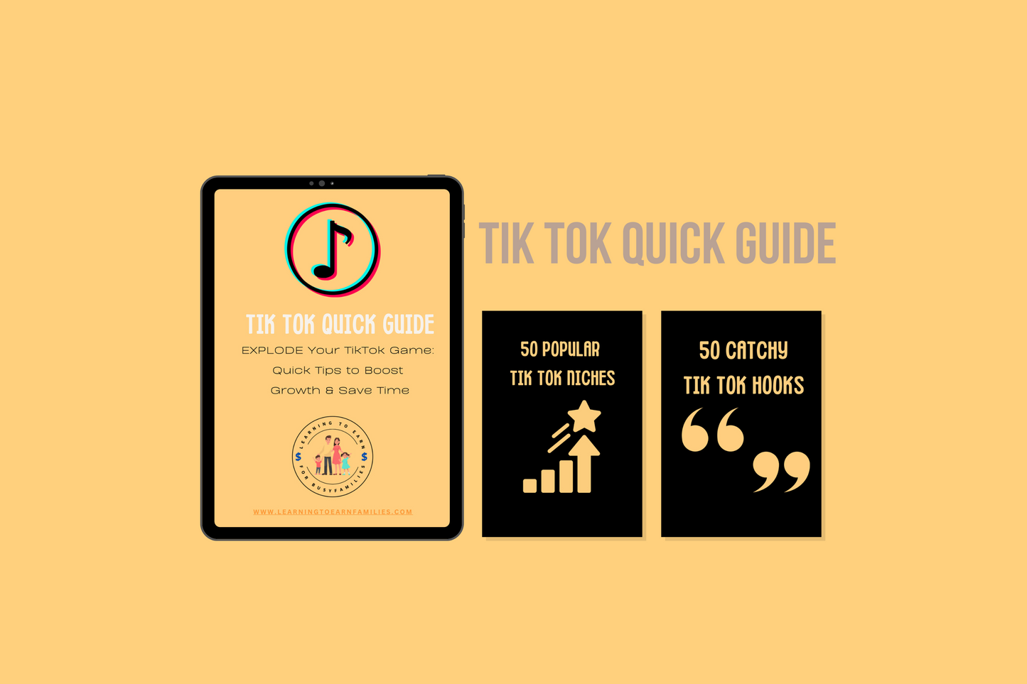 Tik Tok Quick Guide PLR